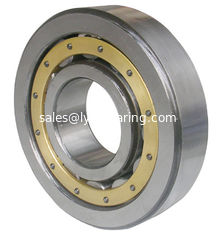 China Roller bearing N1024CKMP5 120x180x28mm for machine tool  spindle supplier