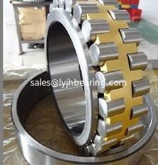 China Machine center use high precision bearing NN3021KW33 SP 105x160x41mm brass cage supplier