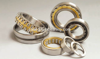China Thin section roller bearing NN3016KW33 80	x125x34mm brass cage for machine spindle supplier